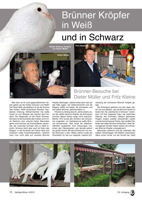 Eine Usa Story Uber Zwerg Pfautauben Club Der Brunner Kropfer