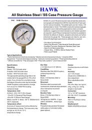 HAWK-Solid front process gauge