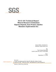 NI 43-101 Technical Report Mineral Resource Estimation Kipawa ...