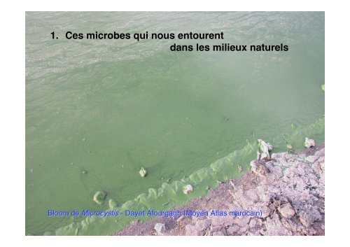 Cours de JG. Breheret: Â« Microbes des profondeurs