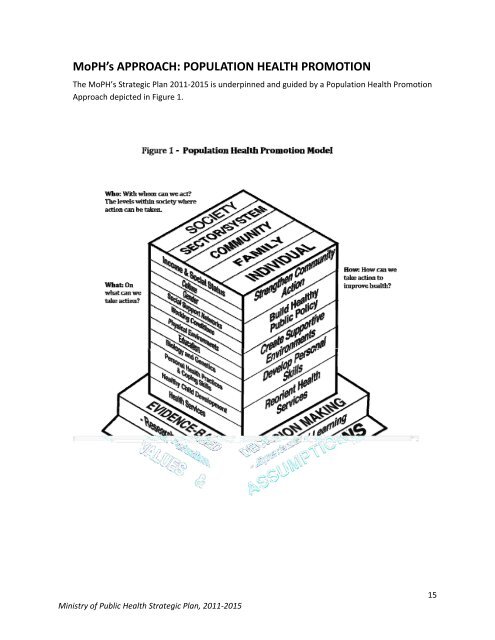 Afghanistan Afghan Public Health Institute Strategic Plan - ianphi