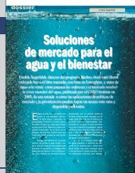 Soluciones de mercado para el agua y el bienestar - Revista ...