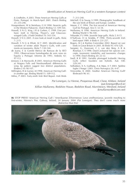 Identification of American Herring Gull in a western European context