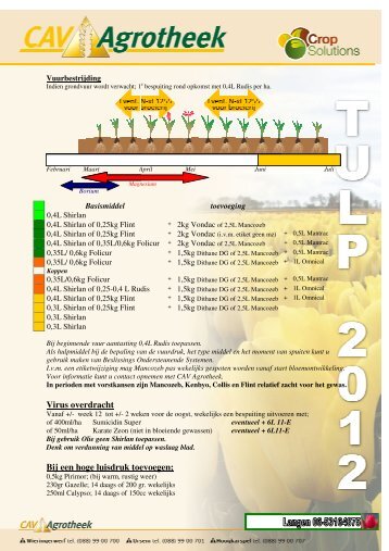 Tulp - CAV Agrotheek