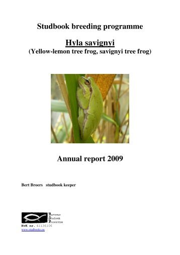 Studbook breeding programme Hyla savignyi