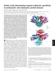 Mrna Triplets Amino Acid Number Amino Acid Sequence Trait Ugg