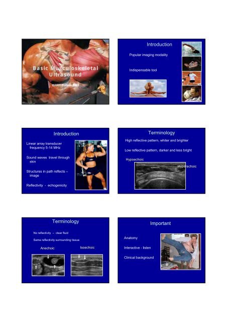 Basic Musculoskeletal Ultrasound - ISRRT