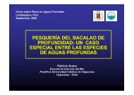 PESQUERÃA DEL BACALAO DE PROFUNDIDAD: UN ... - Imarpe