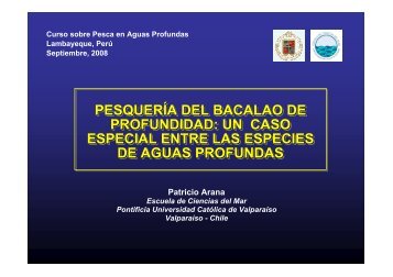 PESQUERÃA DEL BACALAO DE PROFUNDIDAD: UN ... - Imarpe