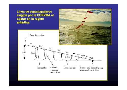 PESQUERÃA DEL BACALAO DE PROFUNDIDAD: UN ... - Imarpe