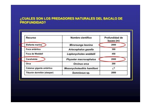 PESQUERÃA DEL BACALAO DE PROFUNDIDAD: UN ... - Imarpe