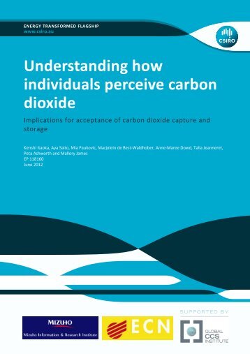 Perceptions of CO2 Report - Global CCS Institute