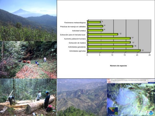 Rodolfo Solano etal