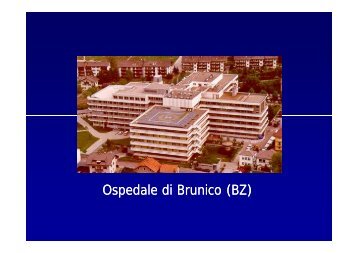 Brunico (H. Steiner, 2003) - EndoscopiaDigestiva.it