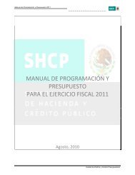 manual de programaciÃ³n y presupuesto para el ejercicio fiscal 2011