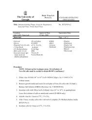 Plaque Assay for Respiratory Syncytial Virus