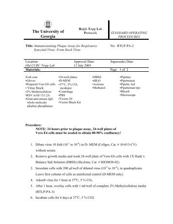 Plaque Assay for Respiratory Syncytial Virus