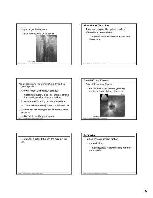 Microsoft PowerPoint - 28- protists revised.pdf - NSD Main
