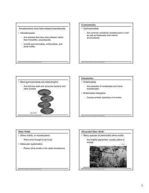 Microsoft PowerPoint - 28- protists revised.pdf - NSD Main