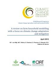 A review on farm household modelling with a focus ... - CCAFS - cgiar