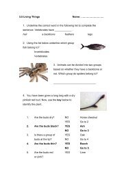 Living Things Worksheet