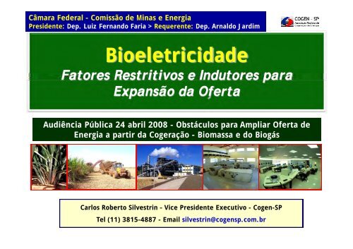 Bioeletricidade - Cogen