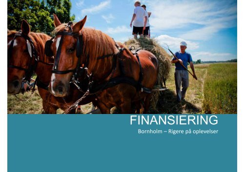 Ny turismestrategi for Bornholm - Bornholms Regionskommune