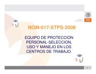 NOM-017-STPS-2008