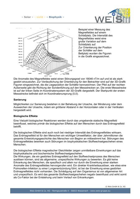 Anomalien des Erdmagnetfeldes und andere ... - ict-tqmlife.com