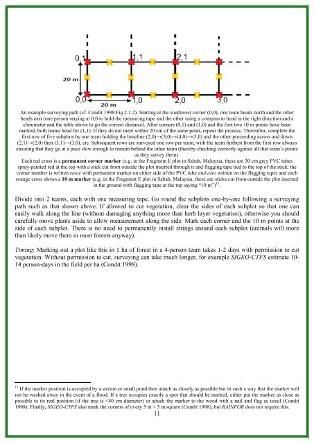 RAINFOR GEM Intensive Plots Manual (pdf) - University of Oxford