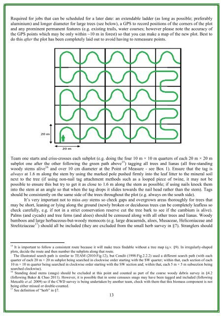 RAINFOR GEM Intensive Plots Manual (pdf) - University of Oxford