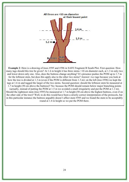 RAINFOR GEM Intensive Plots Manual (pdf) - University of Oxford