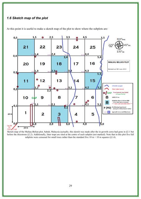 RAINFOR GEM Intensive Plots Manual (pdf) - University of Oxford