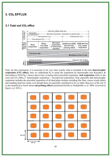 RAINFOR GEM Intensive Plots Manual (pdf) - University of Oxford