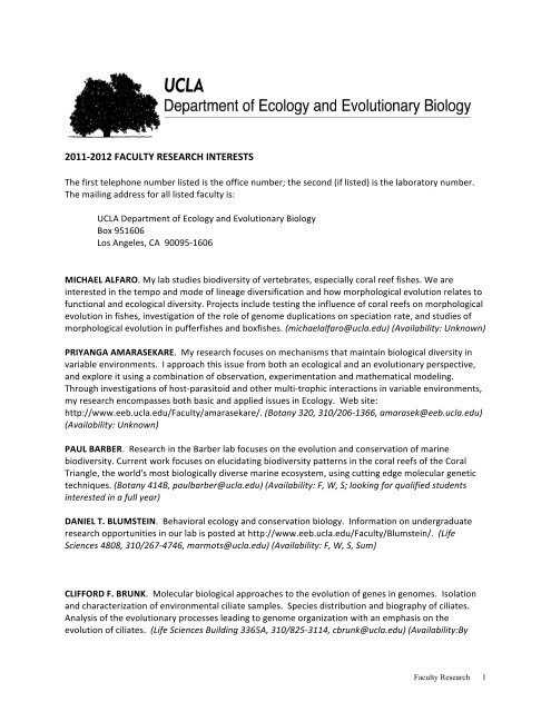 Exploring the significance of morphological diversity for