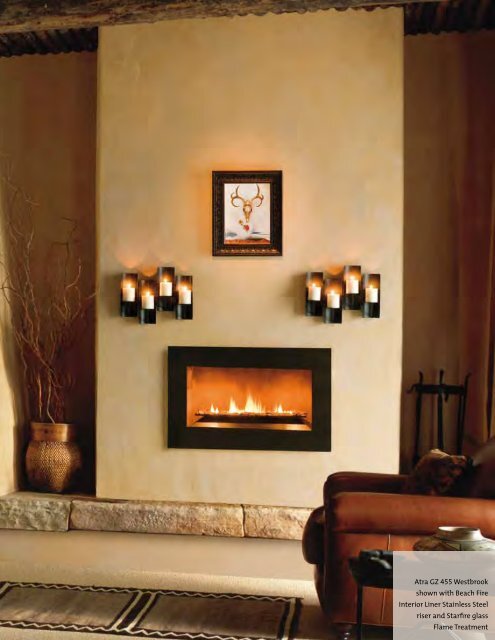 Atra Gas Fireplace Brochure - The Firebird