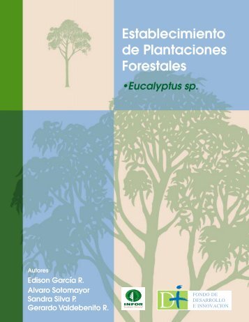 Establecimiento de Plantaciones Forestales: Eucalyptus sp. - Infor