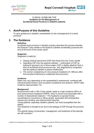 Guideline for the management of accidental dural puncture