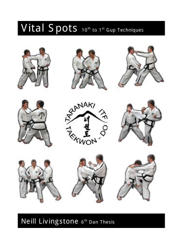 Taekwondo essay