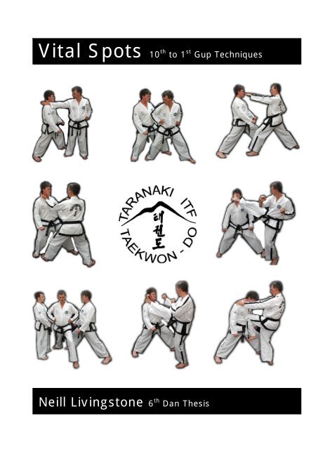 Vital Spots 10 Taranaki Itf Taekwondo