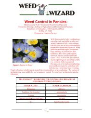 Weed Control in Pansies - Walter Reeves