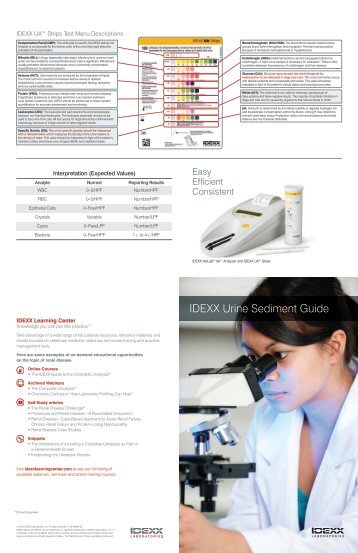 Urine Sediment Guide - IDEXX Laboratories