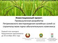 Инвестиционный проект - Министерство экономики Республики ...