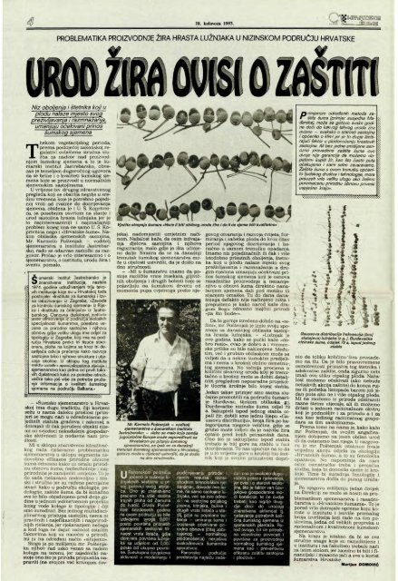 HRVATSKE ŠUME 23 (18.8.1993.)