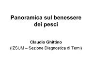 PANORAMICA SUL BENESSERE DEI PESCI - Ghittino - SIPI