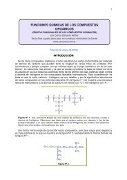 funciones quÃ­micas de los compuestos orgÃ¡nicos - cenunez.com.ar