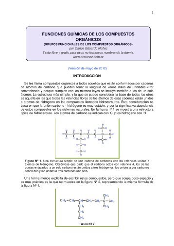 funciones quÃ­micas de los compuestos orgÃ¡nicos - cenunez.com.ar