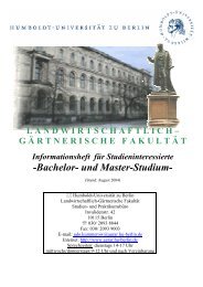 Bachelor- und Master-Studium