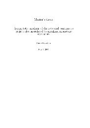 Master's thesis Asymptotic analysis of discrete and continuous ...