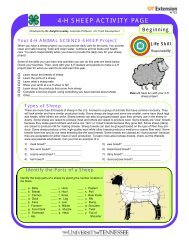 Sheep Activity Sheet - Cooperative Extension